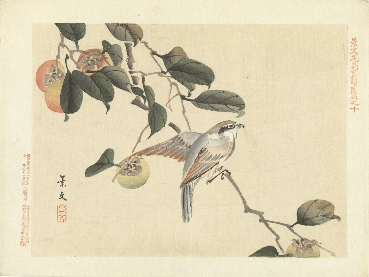 Ocell i caqui Esbossos de flors i ocells de Keibun - primera part (títol de la sèrie) Keibun kacho gafu zen pen (títol de la sèrie a l