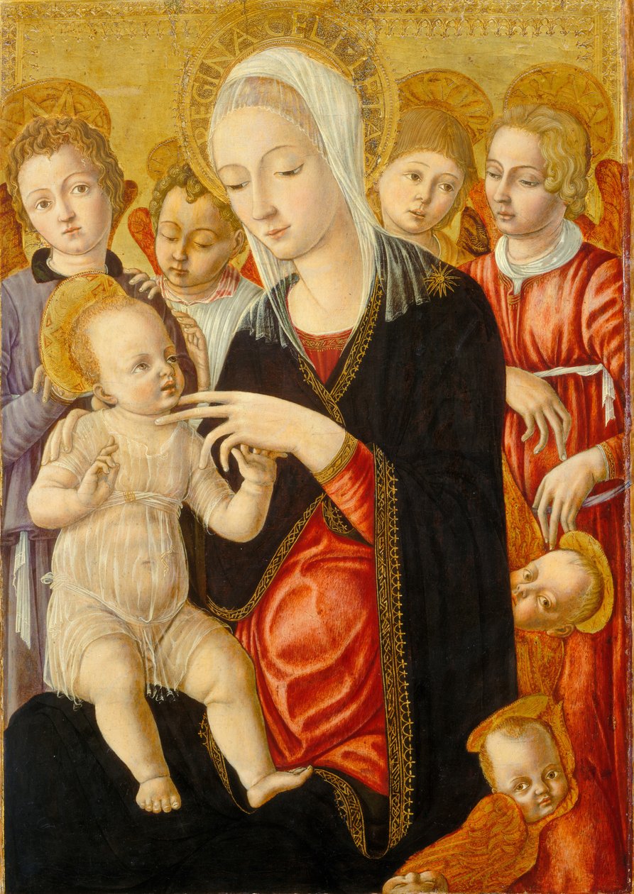 Madonna ja lapsi enkelien ja kerubien kanssa tekijältä Matteo di Giovanni