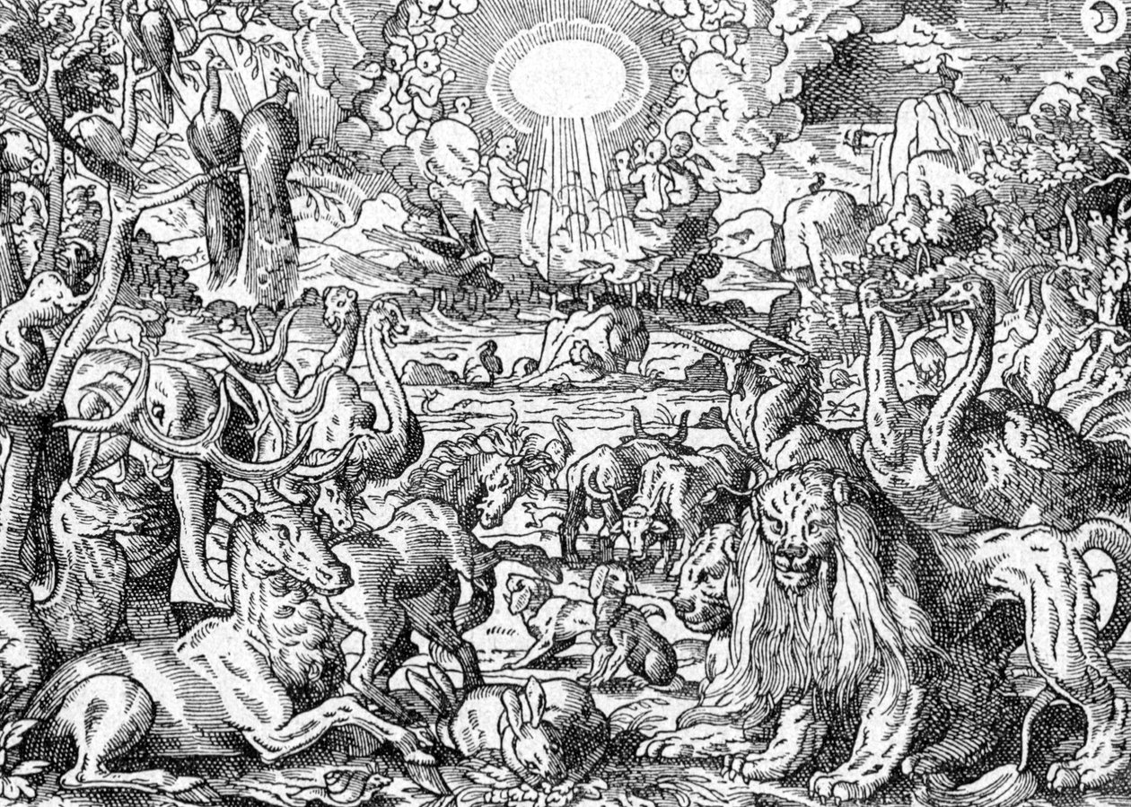 Paradise tekijältä Matthaus the Elder Merian