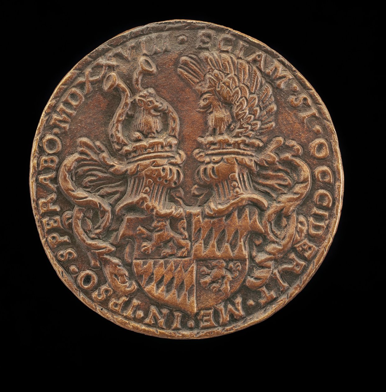 Kilpi kaskeilla ja harjoilla [käänteinen], 1528. tekijältä Matthes Gebel