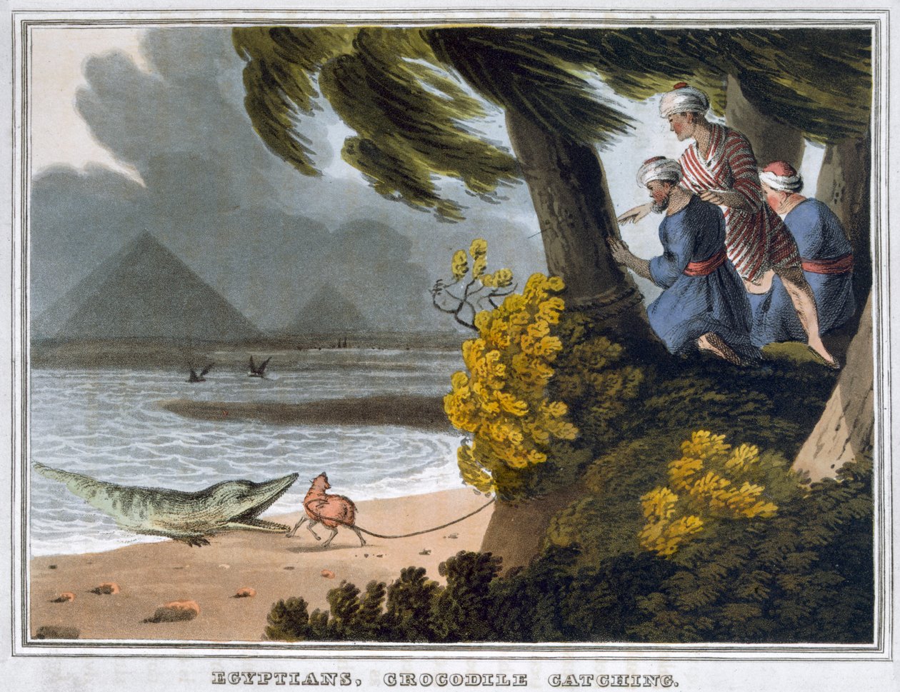 "Egyptiläiset, krokotiilien pyydystäminen", 1813 tekijältä Matthew Dubourg