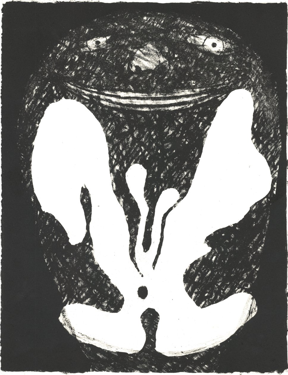 Des Bêtes" Taiteilijakirja 1, 2018 (litografia) tekijältä Matthew Hilton