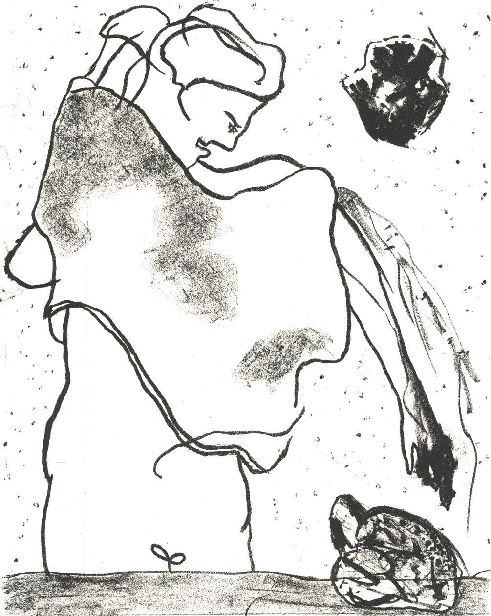 Des Bêtes" Taiteilijakirja 2, 2018 (litografia) tekijältä Matthew Hilton
