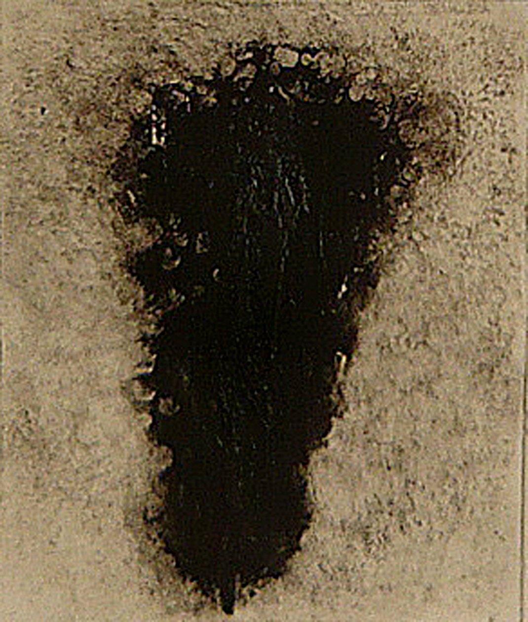ossie, 2009 (helioprint) tekijältä Matthew Hilton