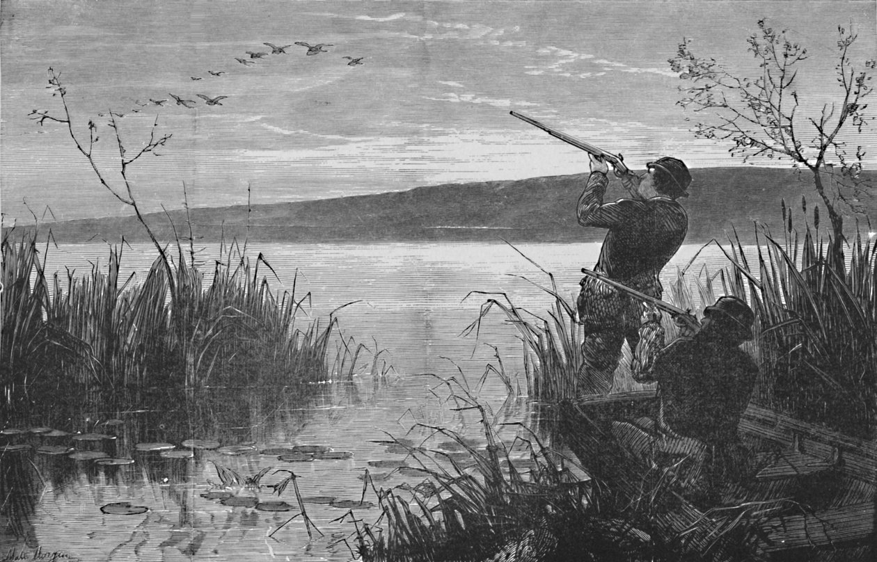 Ankka-ammunta Saratoga-järvellä, 1973, 1883 tekijältä Matthew Somerville Morgan