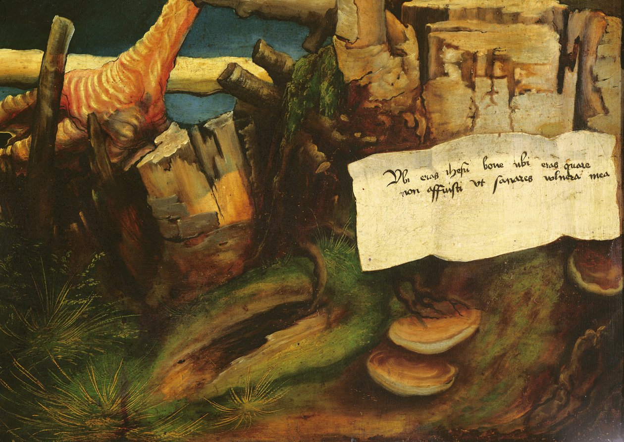 Yksityiskohta Pyhän Antoniuksen kiusauksesta Isenheimin alttaritaululta, n. 1512-1516 öljytaulu tekijältä Matthias Grünewald