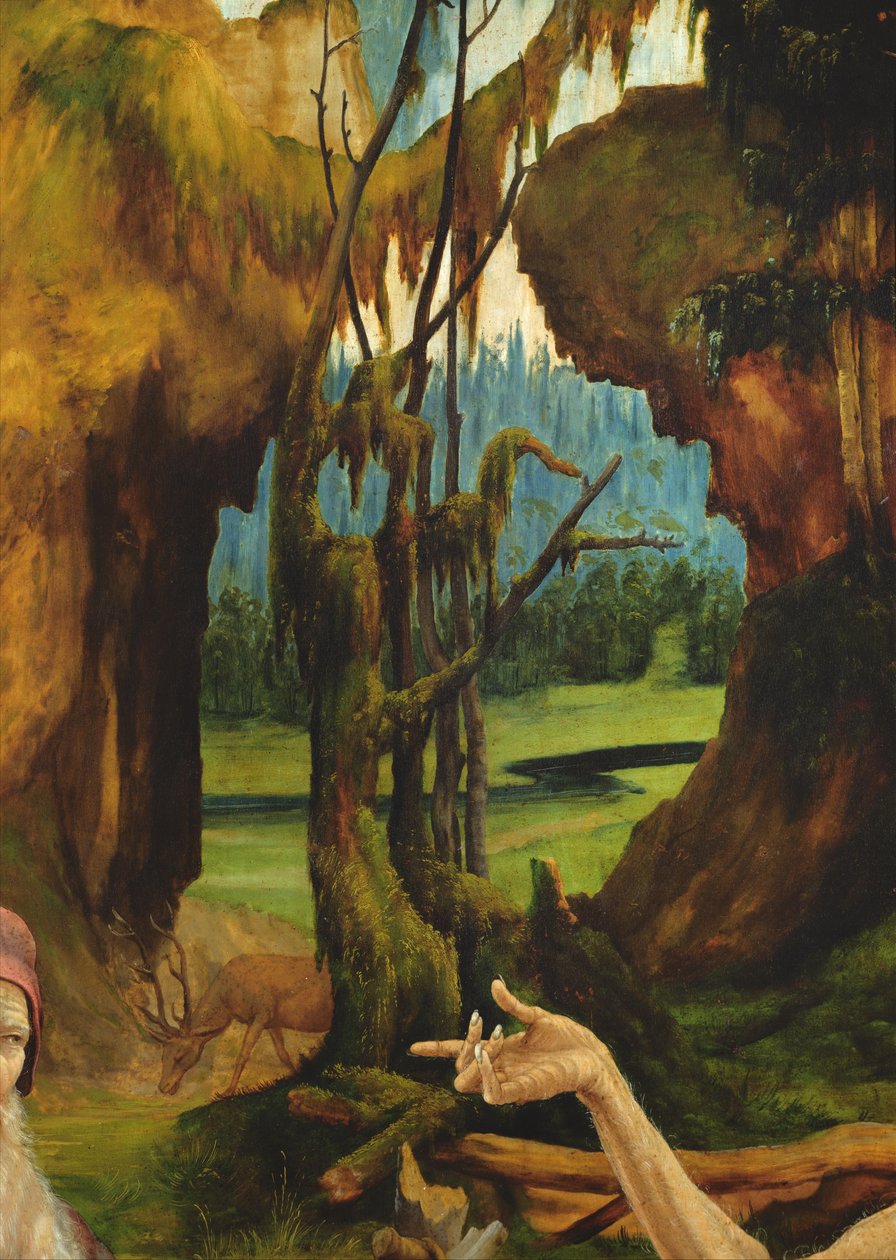 Pyhän Antoniuksen vierailu Erakko Paavalin luona. Yksityiskohta Saint Paulin kädestä Isenheimin alttaritaulusta, n. 1512-16 öljy puulle tekijältä Matthias Grünewald