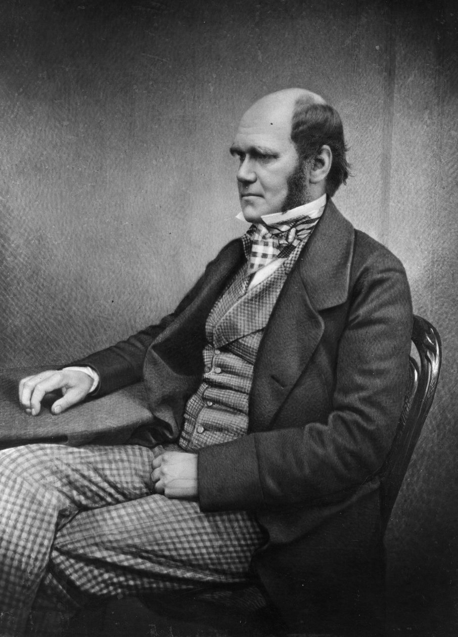 Charles darwin tekijältä Maull and Fox