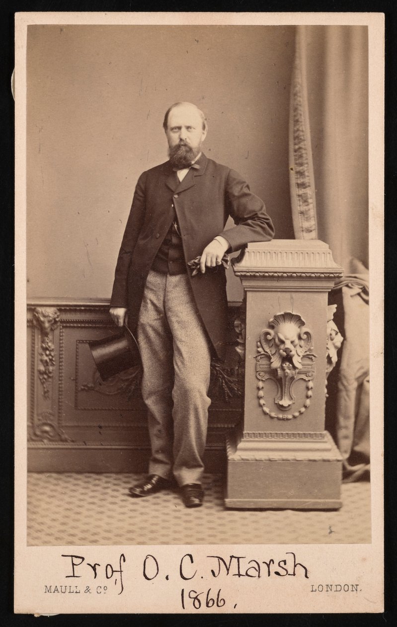 Muotokuva Othniel Charles Marshista 1831-1879, 1866. tekijältä Maull and Co