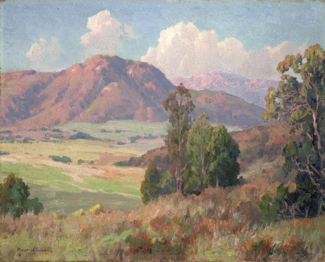 San Diego Hills (öljy kankaalle) tekijältä Maurice Braun