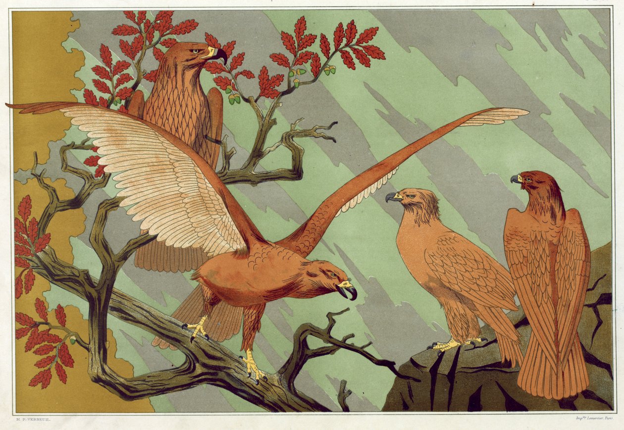 Eagles, Maurice Pillard Verneuilin teoksesta The Animal in the Decoration, pub. 1897 (värilitografia) tekijältä Maurice Pillard Verneuil