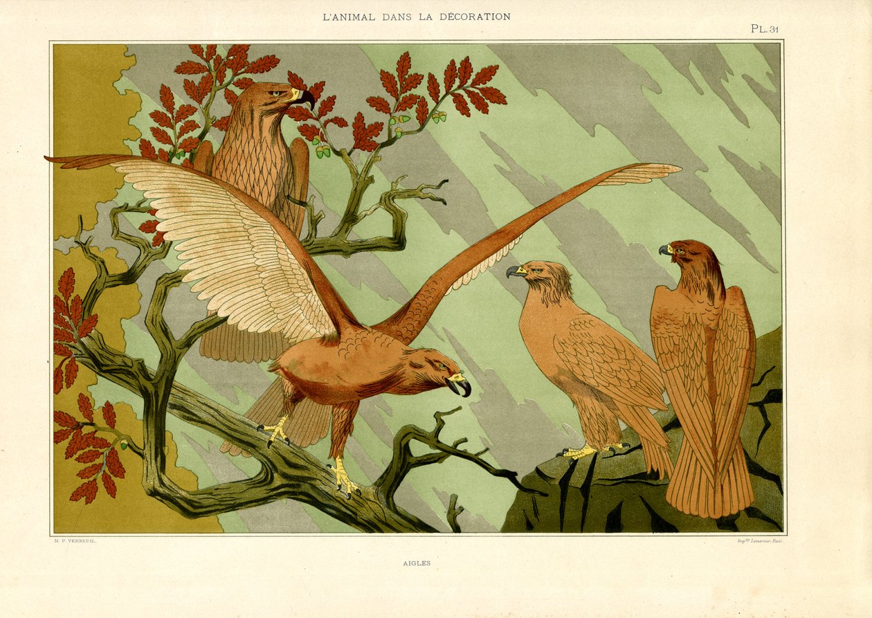 Kotkat jugendtyylisen naturalistisessa kuvauksessa (litografia) tekijältä Maurice Pillard Verneuil