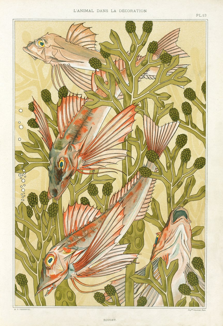 Red Mullet, Maurice Pillard Verneuilin "L