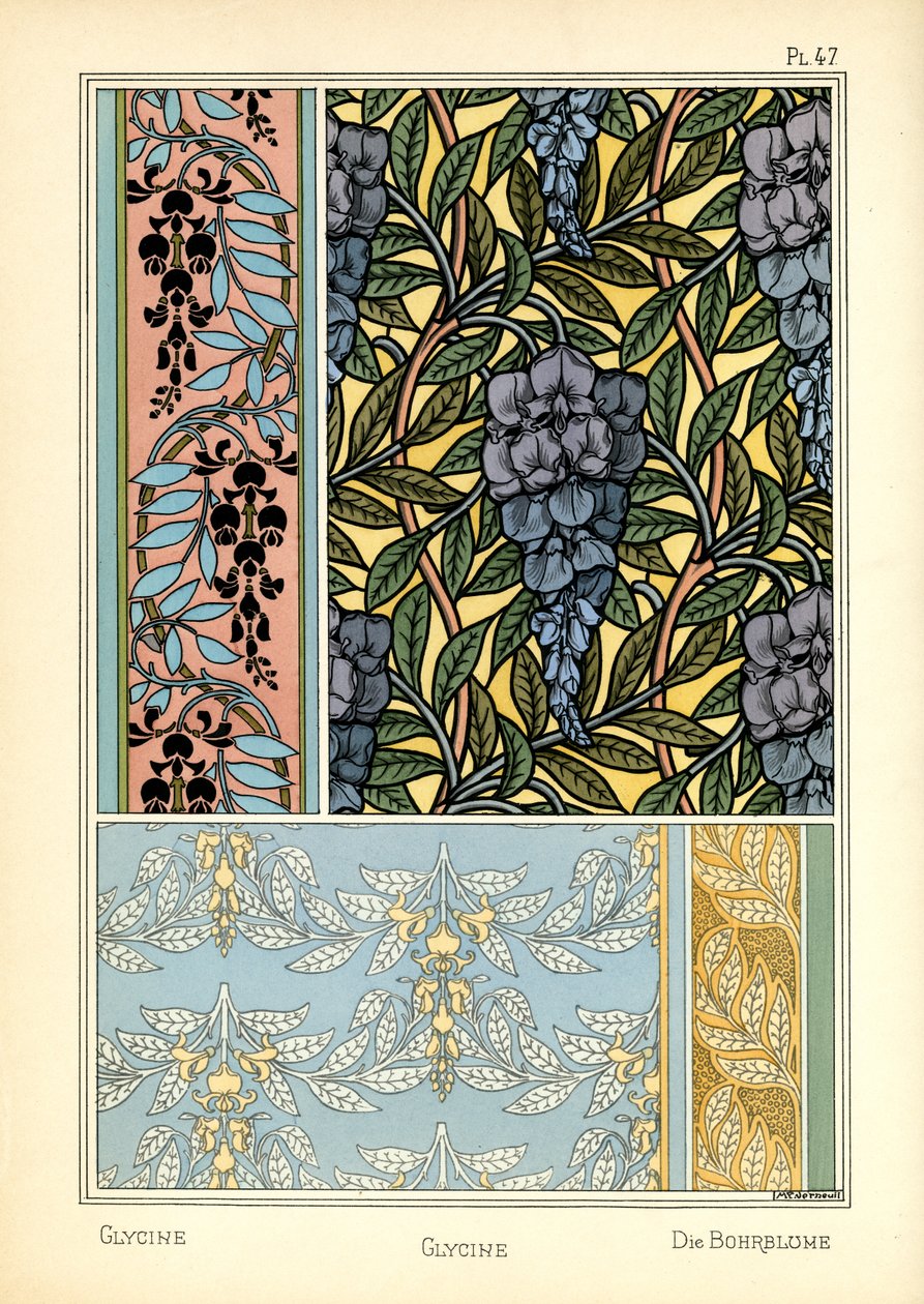 The Glycine (väri litho) tekijältä Maurice Pillard Verneuil