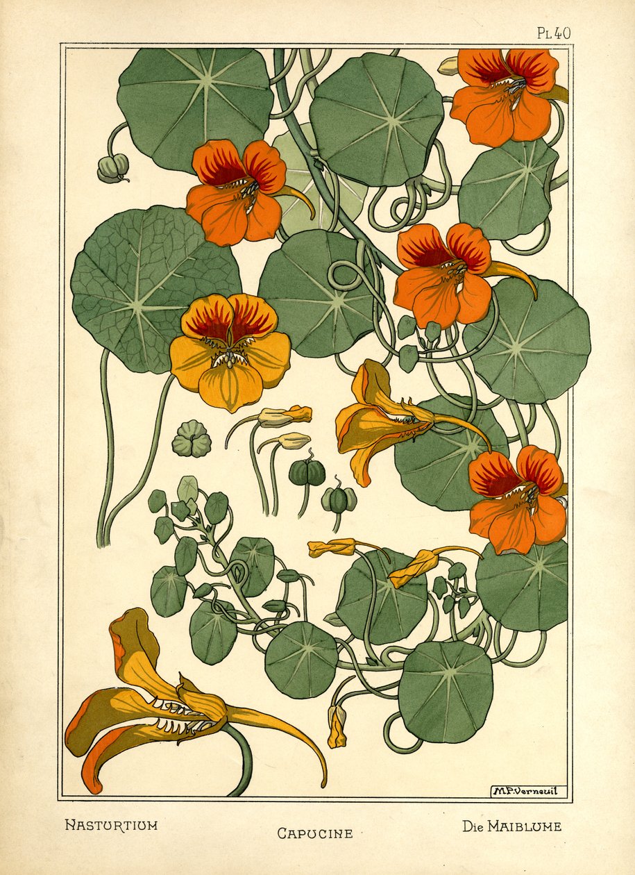 Nasturtium (väri lito) tekijältä Maurice Pillard Verneuil
