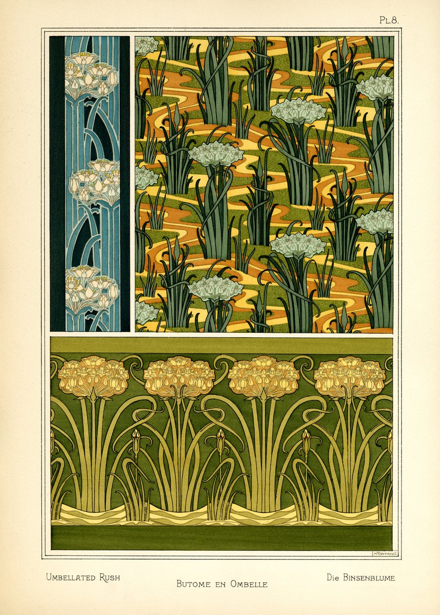 The Umbellated Rush (väri litho) tekijältä Maurice Pillard Verneuil