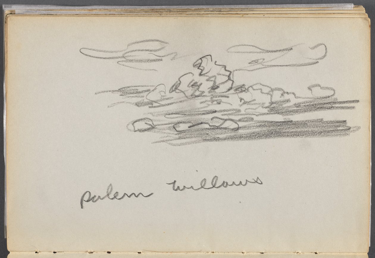 Luonnoslehti, The Dells, nro 127, sivu 184: "Salem Willows". tekijältä Maurice Prendergast