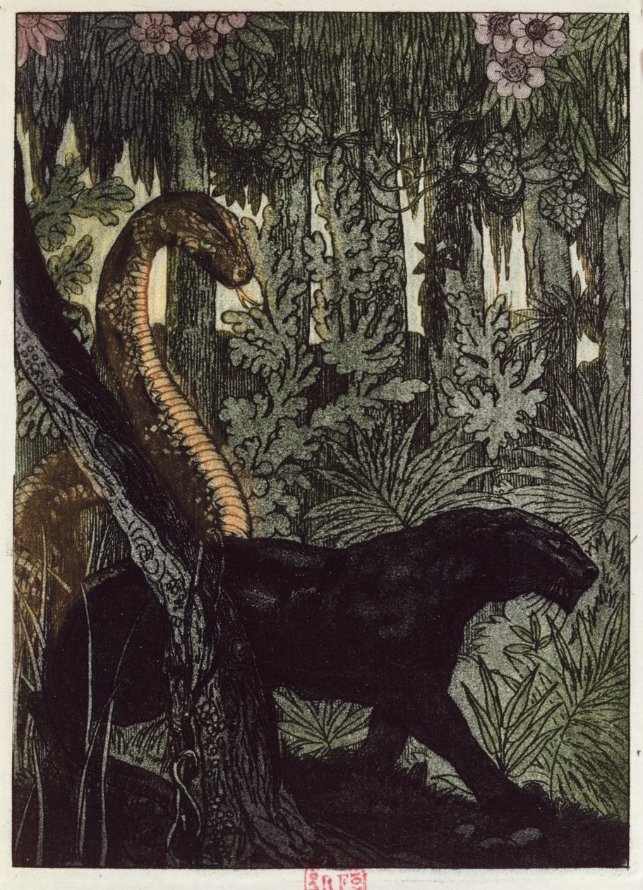Kaan metsästys, kuvitus Rudyard Kiplingin (1865-1936) viidakkokirjasta, julkaistu Pariisissa, 1930 tekijältä Maurice de Becque