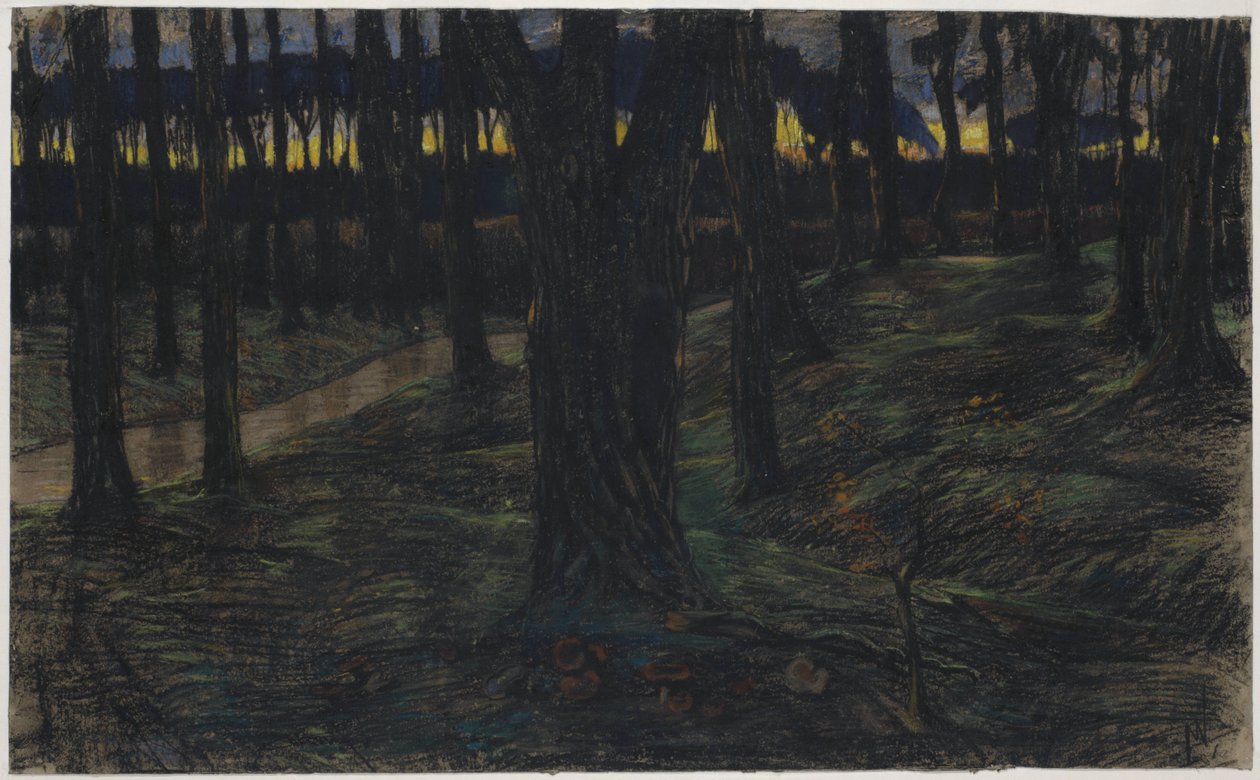 Metsänäkymä auringonlaskun aikaan tekijältä Maurits van der Valk