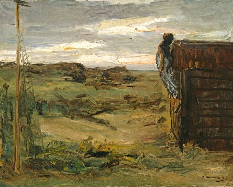 Strand mit Schuppen tekijältä Max Liebermann