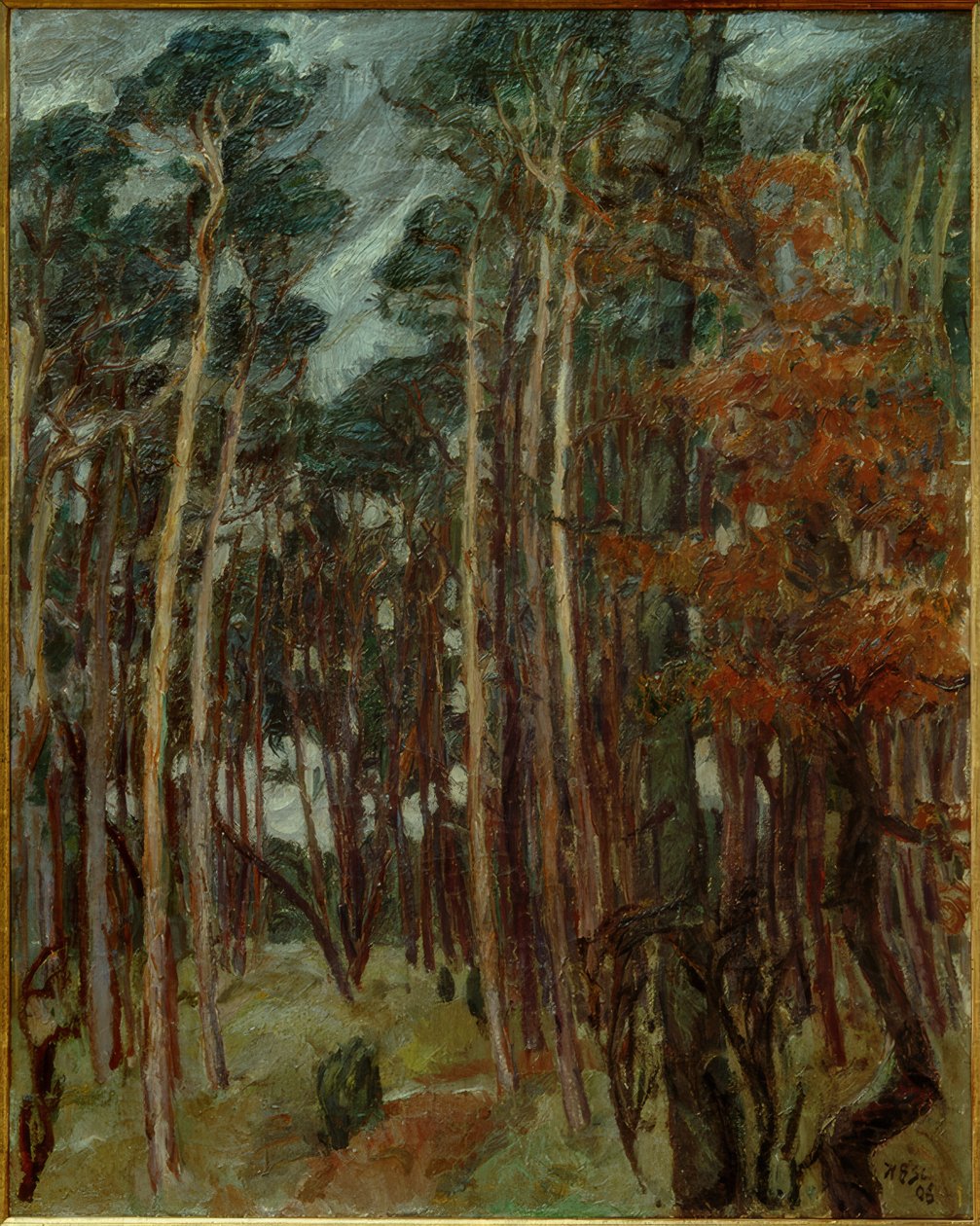 Hermsdorfer Wald harmaana päivänä tekijältä Max Beckmann