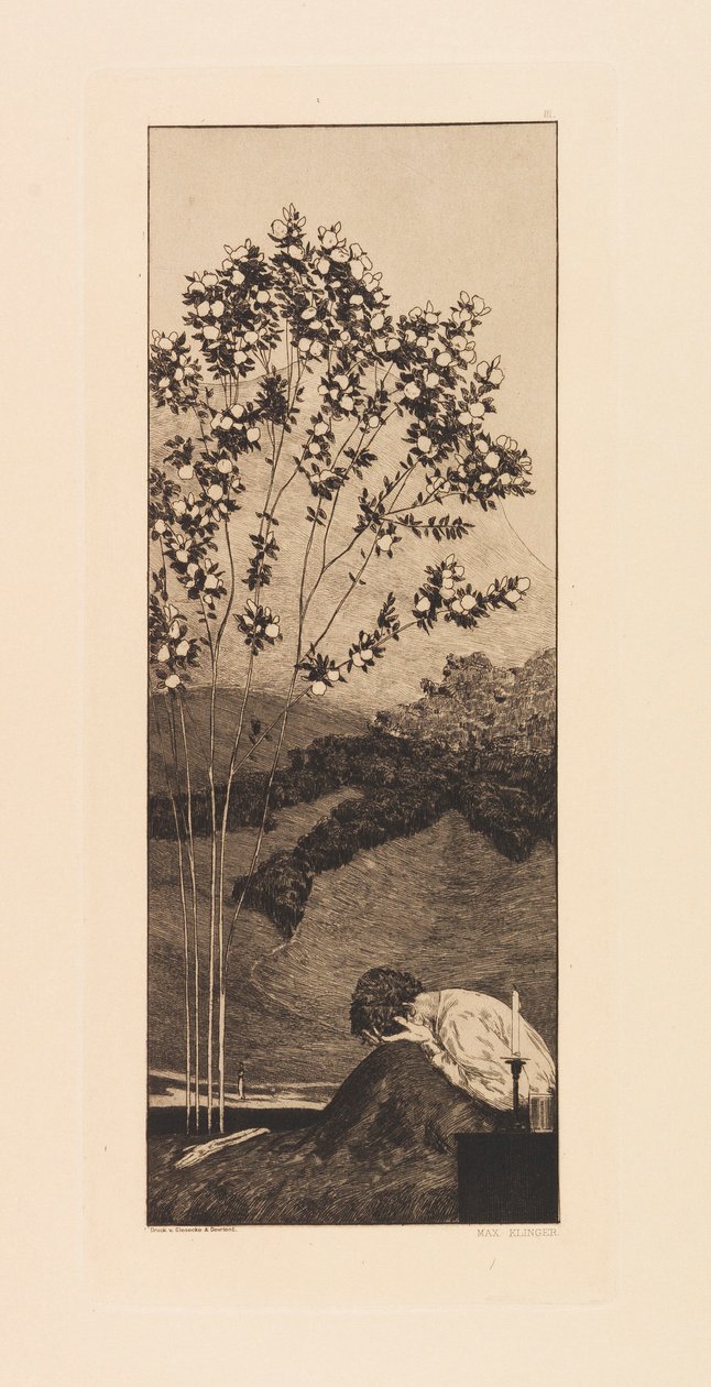 Opus VI, Parafraasista hansikkaiden löytämisestä, 1881. tekijältä Max Klinger