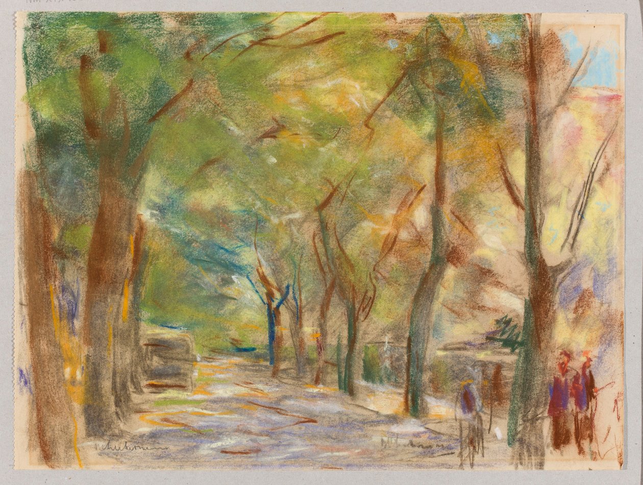 Colomierstraße Wannseessa tekijältä Max Liebermann