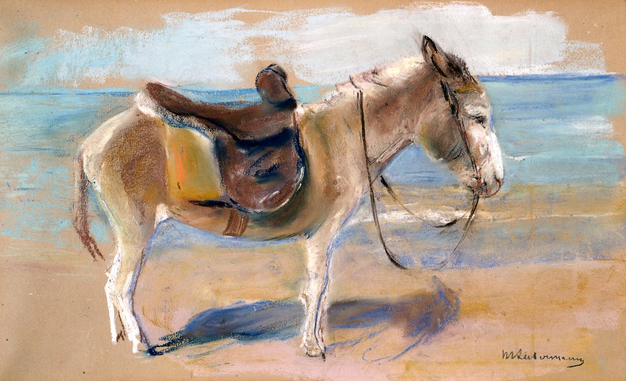 Aasi Noordwijkin rannalla, 1908. tekijältä Max Liebermann