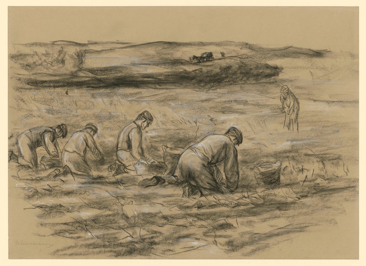 Perunankaivaja Zandvoortissa tekijältä Max Liebermann