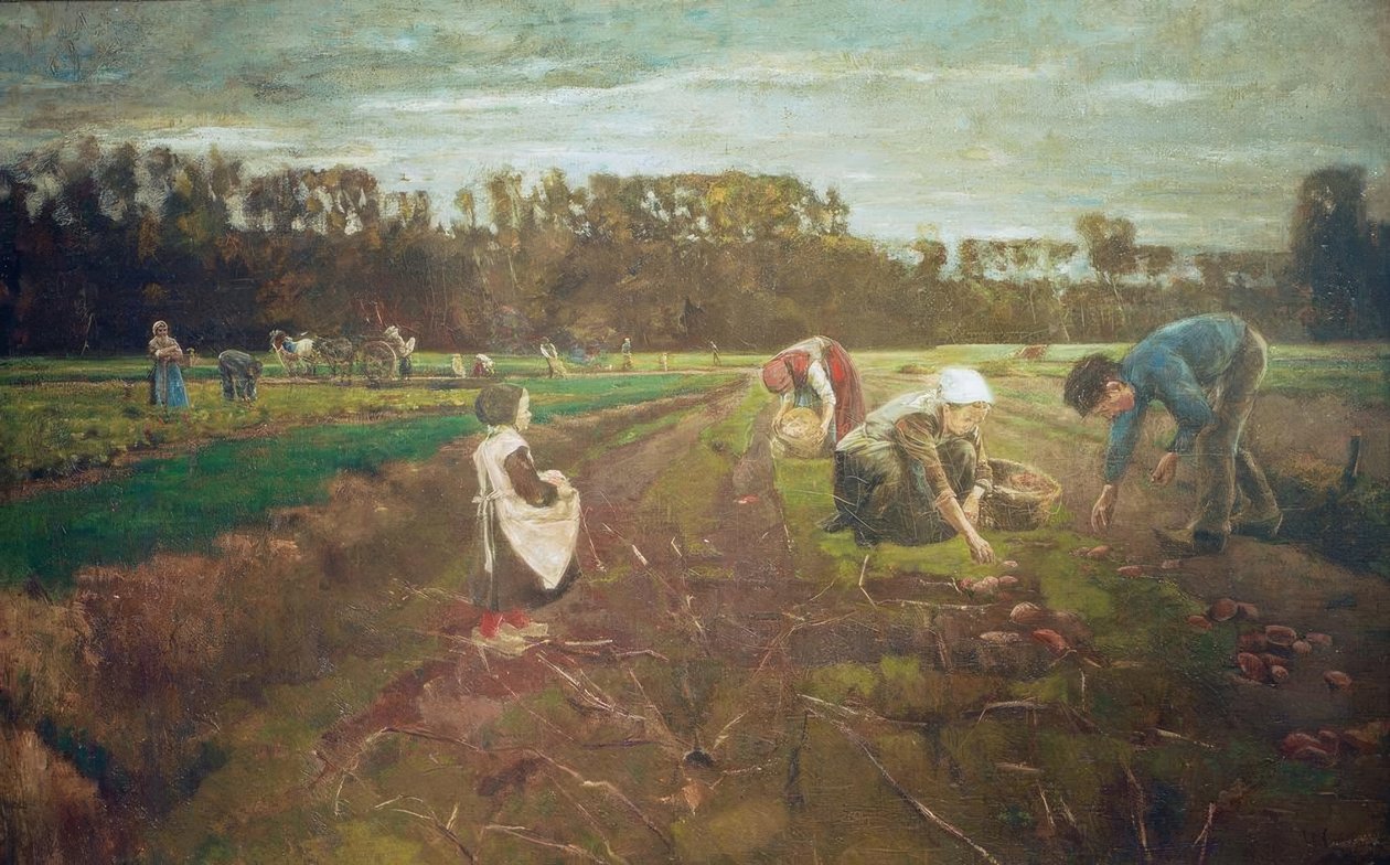 Kartoffelernte Barbizonissa tekijältä Max Liebermann