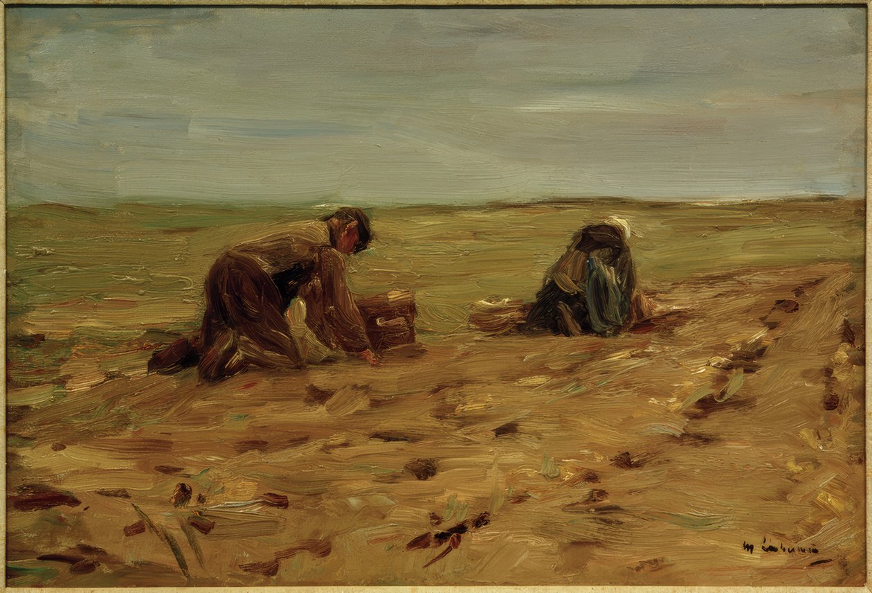 Kartoffelernte in den Dünen tekijältä Max Liebermann