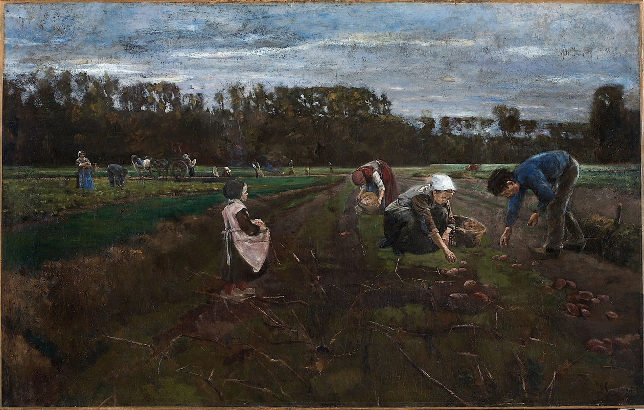 Perunannosto tekijältä Max Liebermann