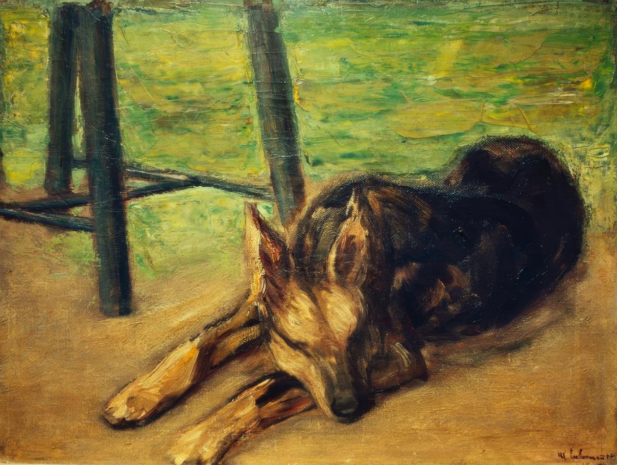 Schlafender Schäferhund tekijältä Max Liebermann