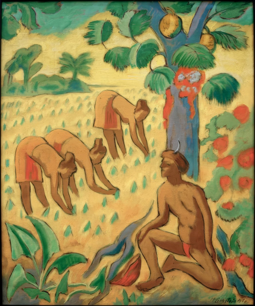 Taro-kasvien viljely Palaussa tekijältä Max Pechstein