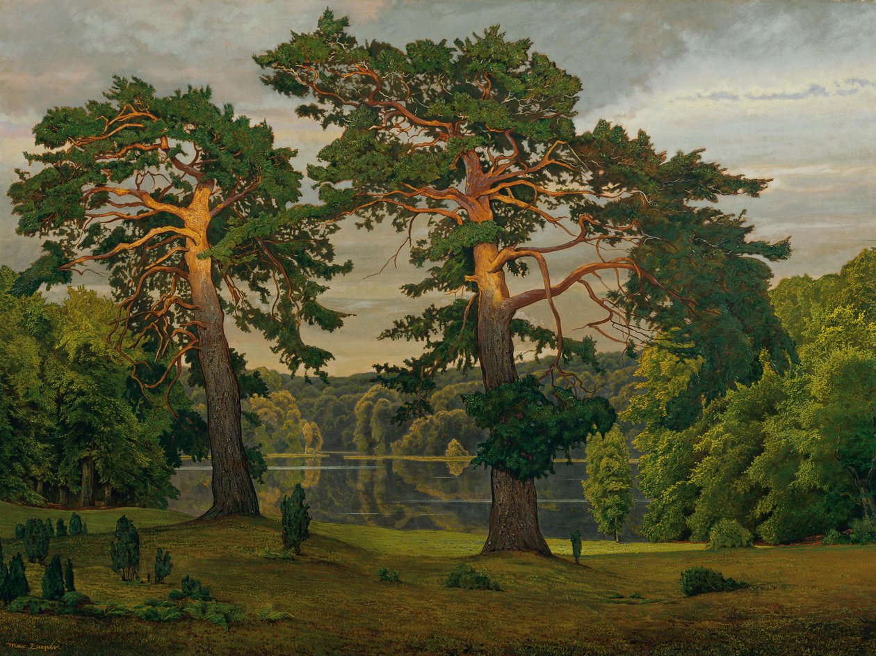 Mäntyjä metsän reunalla tekijältä Max Zaeper