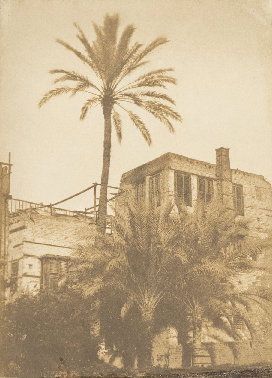 Taatelipalmut ja Maison du Quartier Franc, Kairo, joulukuu 1849 - tammikuu 1850. tekijältä Maxime Du Camp