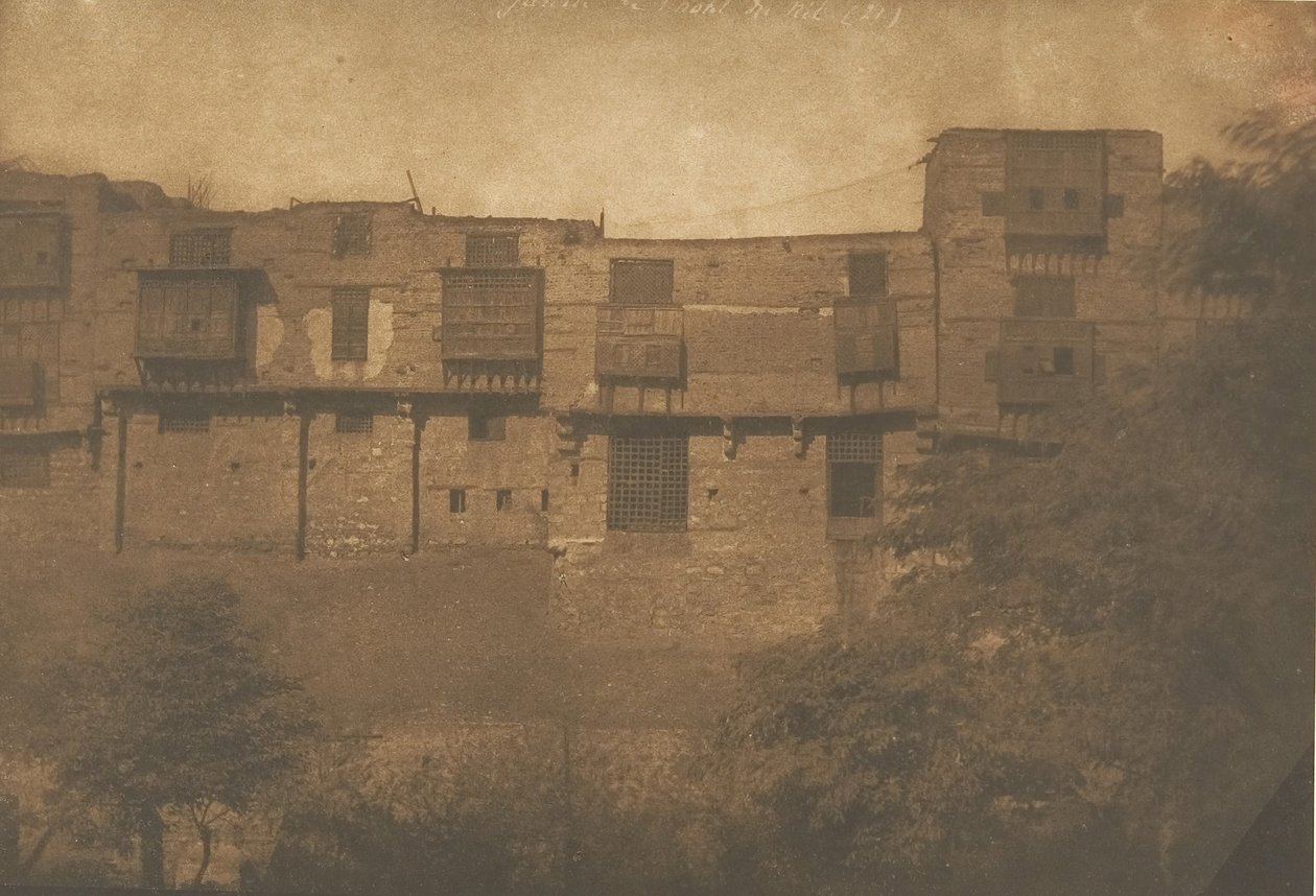Näkymä otettu Jardin du Quartier Francista, Kairosta, joulukuusta 1849 tammikuuhun 1850. tekijältä Maxime Du Camp