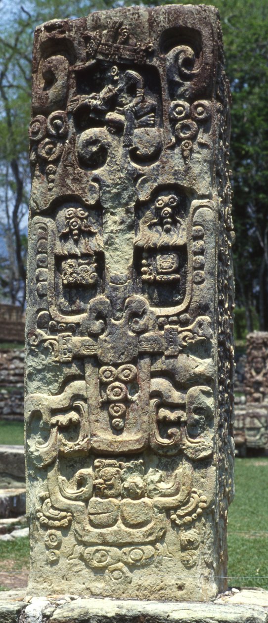 Stela B:n takaosa, Copan, myöhäinen klassikkokausi, 731 jKr tekijältä Mayan