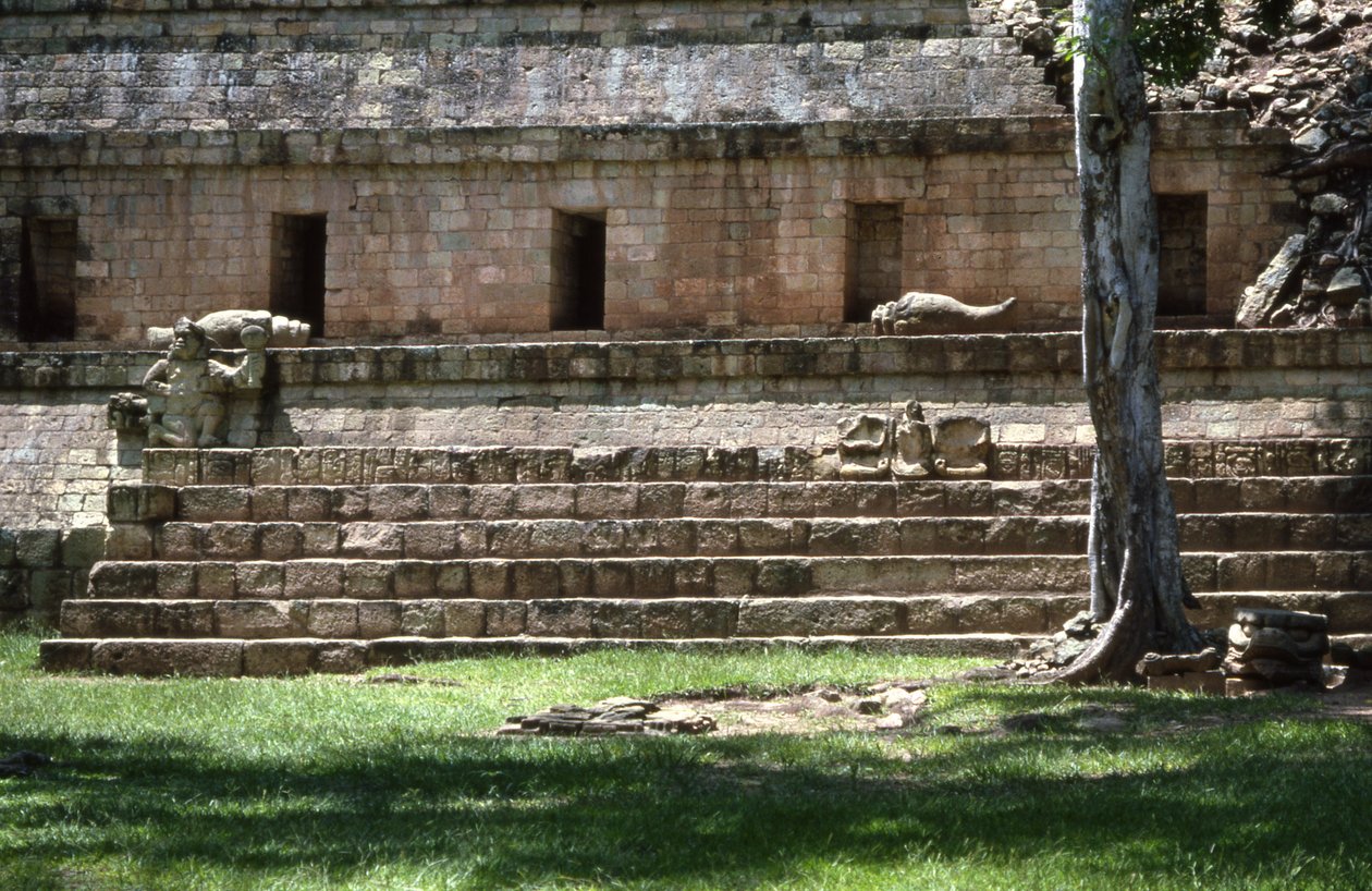 Copan West Court, myöhäinen klassikkokausi 600-900 jKr tekijältä Mayan