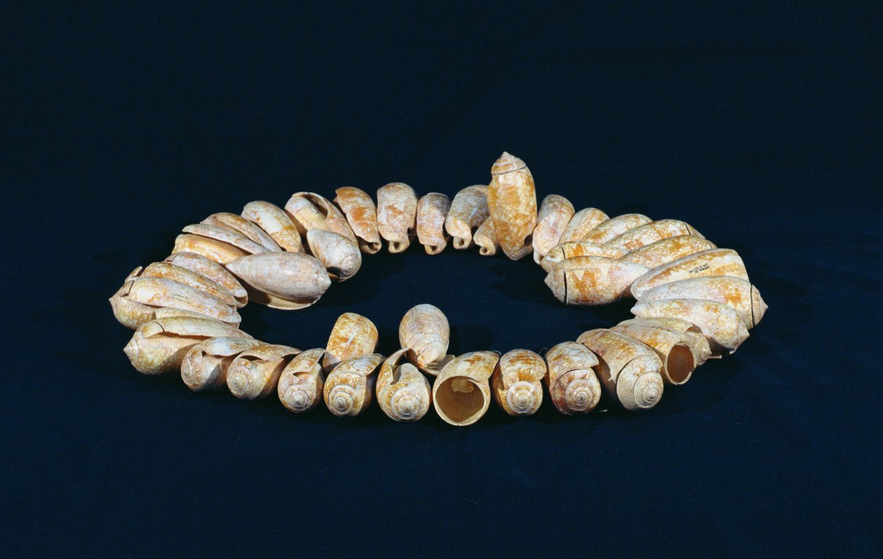 Kaulakoru, Topoxte, Peten, Guatemala, Late Classic Period (kuori) tekijältä Mayan