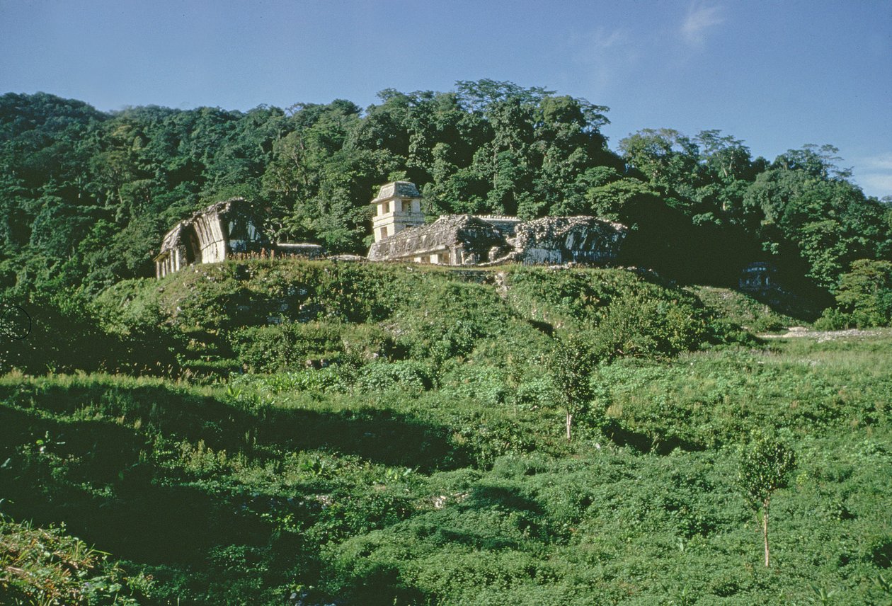 Palatsi ja observatorio kukkulalla, Maya, myöhäisklassinen kausi tekijältä Mayan