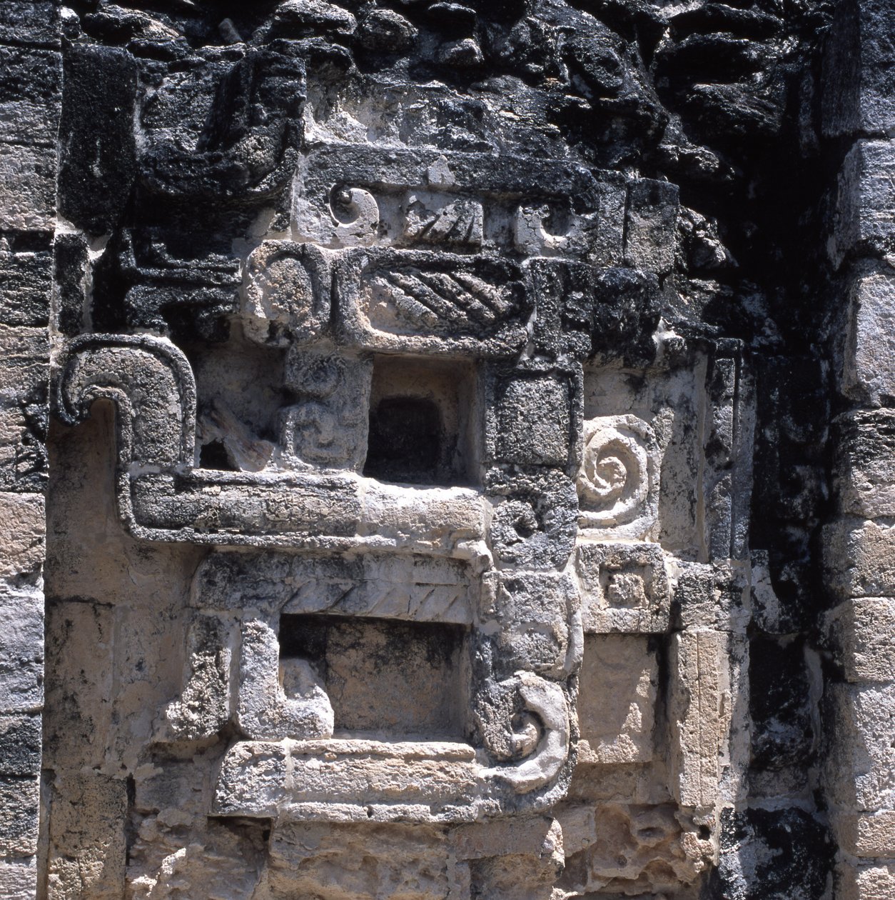 Maan hirviön kohokuvio, myöhäisklassikko, 600-900 jKr tekijältä Mayan