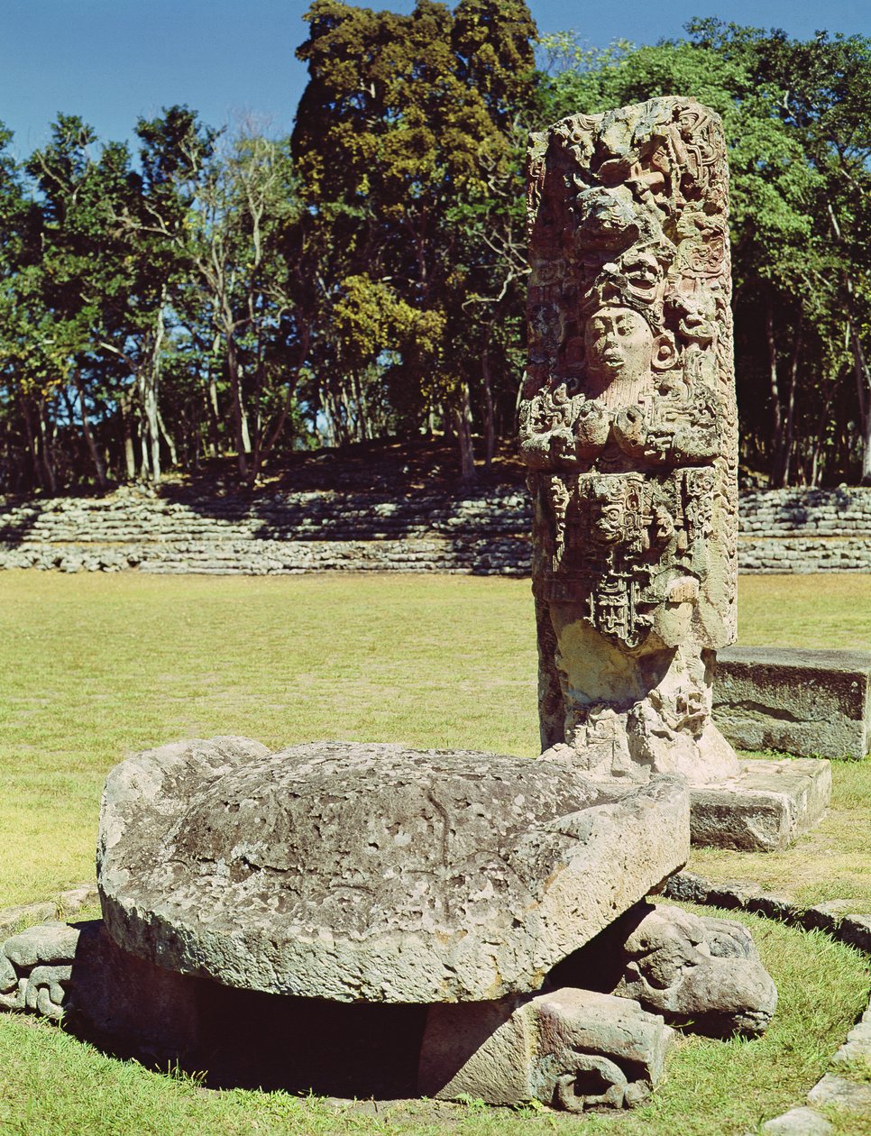 Stele C, joka kuvaa kahdeksantoista kania ja kaksipäinen kilpikonnan patsasta edessä, 711 jKr. tekijältä Mayan