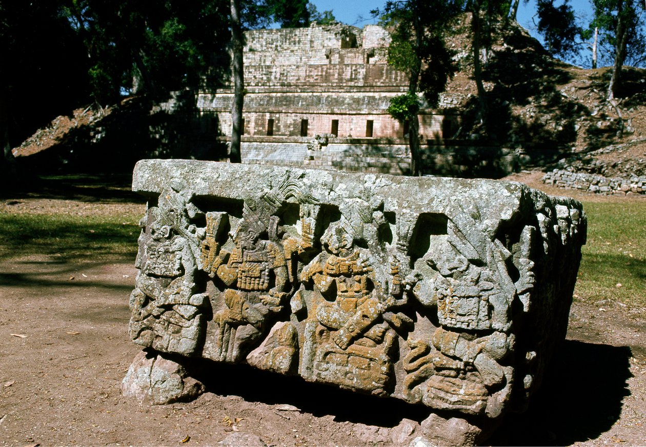 Alttari Q nousevan auringon kuninkaan kruunauksella, 776 jKr tekijältä Mayan