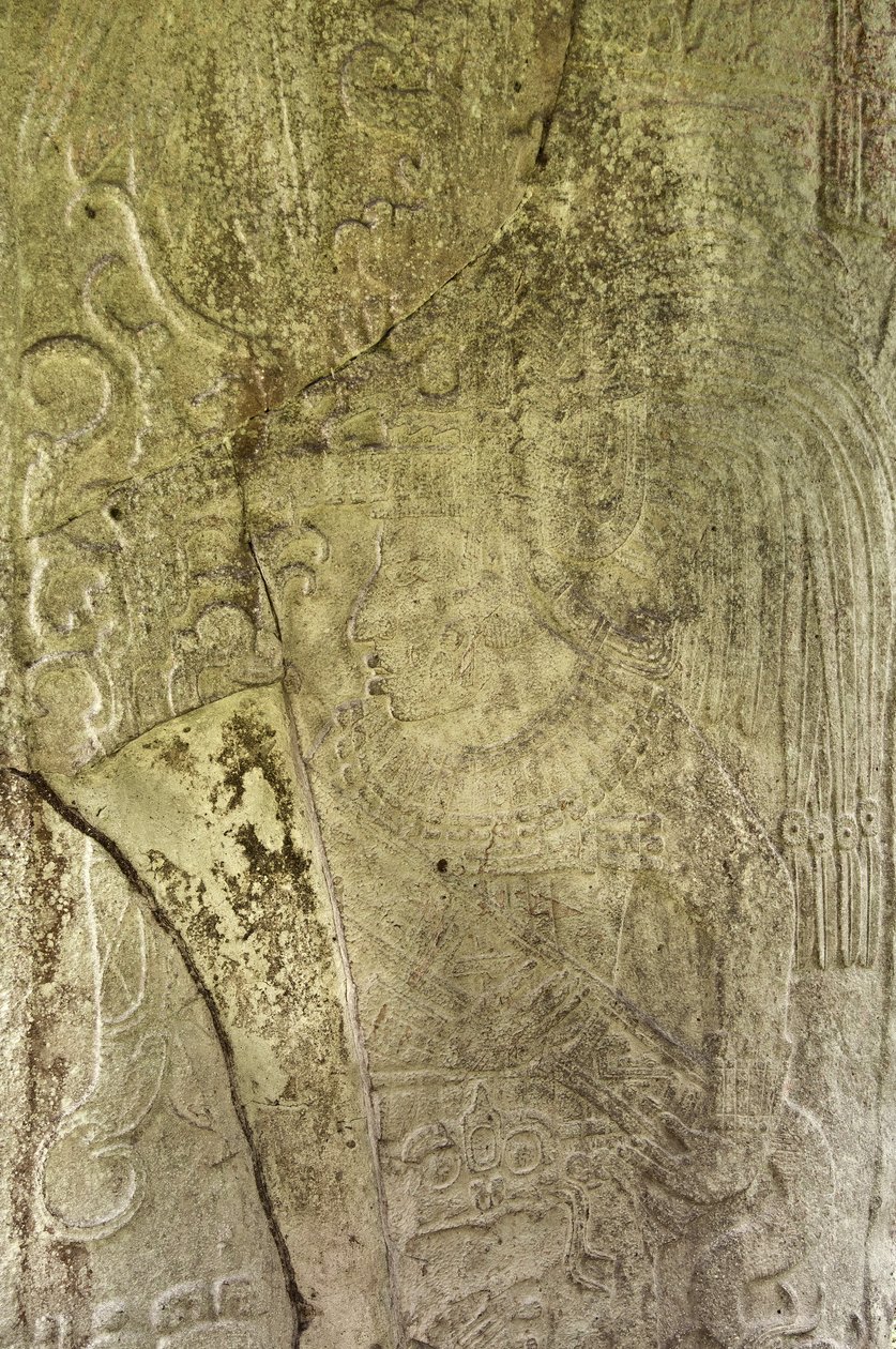 Yksityiskohta Stela 9:stä, joka kuvaa Ajb’alun Haab’tal Wat’ul K’atelia, Terminal Classic Kingiä Ceibalista Guatemalassa, muistoksi 9. katunin päättymistä jKr. 849 kivi tekijältä Mayan