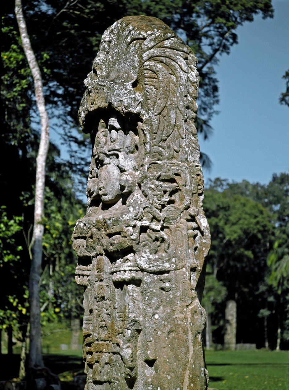 Yksityiskohta Suuren aukion steelestä tekijältä Mayan
