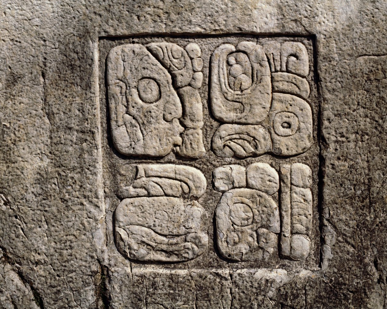 Glyfit talossa C, patio 2 palatsissa tekijältä Mayan