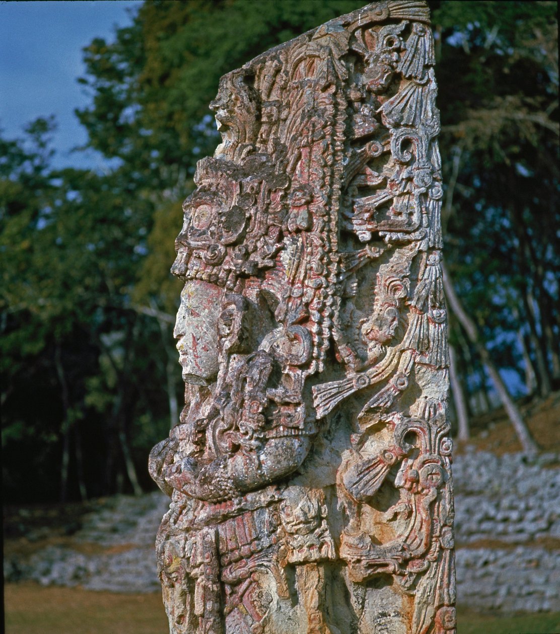 Stele H, Seremonioiden aukio, 731 jKr tekijältä Mayan