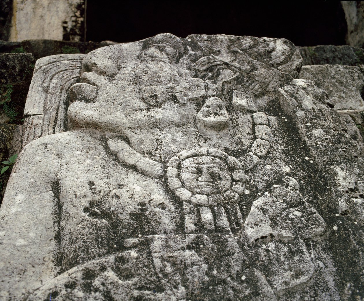 Stele talossa A, patio 2 palatsissa tekijältä Mayan
