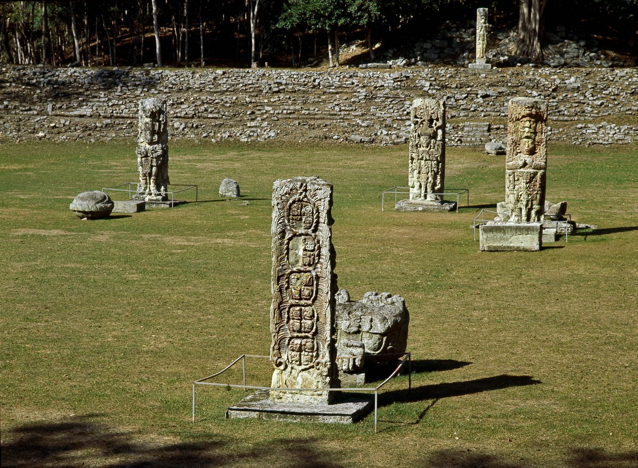 Seremoniallisen aukion jäänteet 4.-10. vuosisadalla tekijältä Mayan Mayan